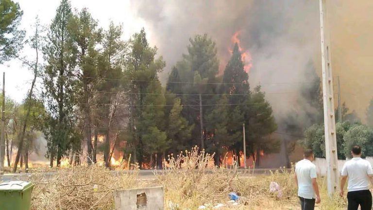 صفرو.. إخماد حريق غابة القشلة برباط الخير بعد تدخل ميداني مكثف