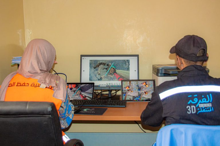 سابقة.. تافراوت تعتمد المراقبة الرقمية لتدبير الكلاب الضالة