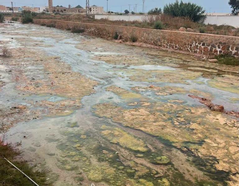 الناظور.. أزمة المياه الراكدة بأركمان تحاصر السكان بالحشرات وتشل حياتهم