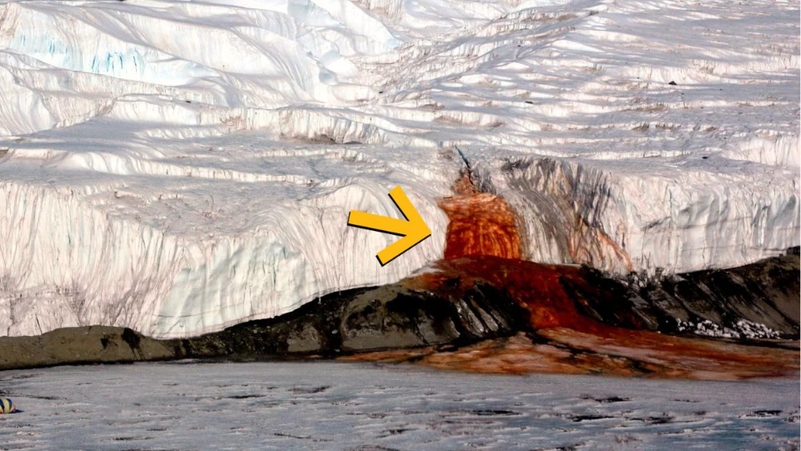 لغز “شلال الدم”.. دراسة تكشف سر المياه الحمراء في القطب الجنوبي