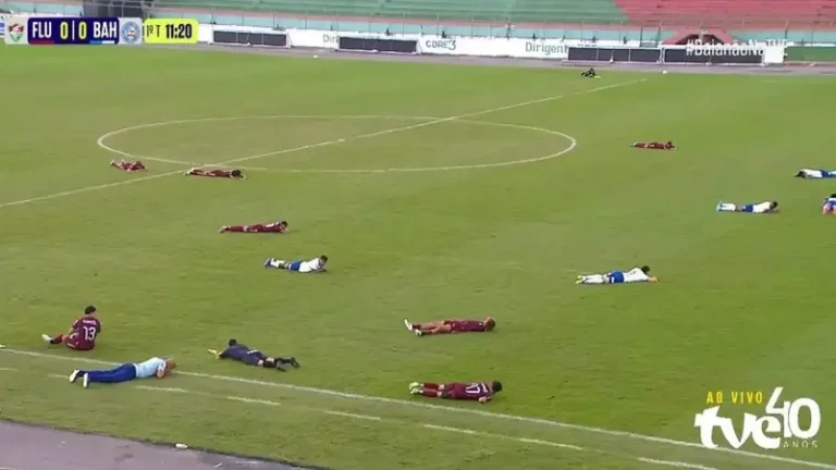 سرب نحل يوقف مباراة في البرازيل ويجبر اللاعبين على الارتماء أرضًا