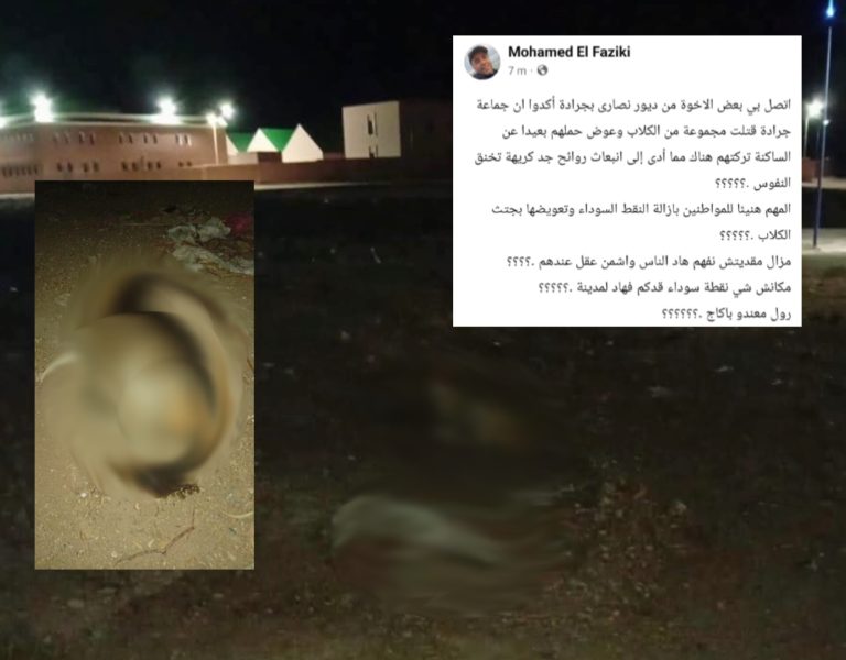 جرادة.. مستشار يتهم الجماعة بقتل الكلاب الضالة وتركها دون جمعها (صور)