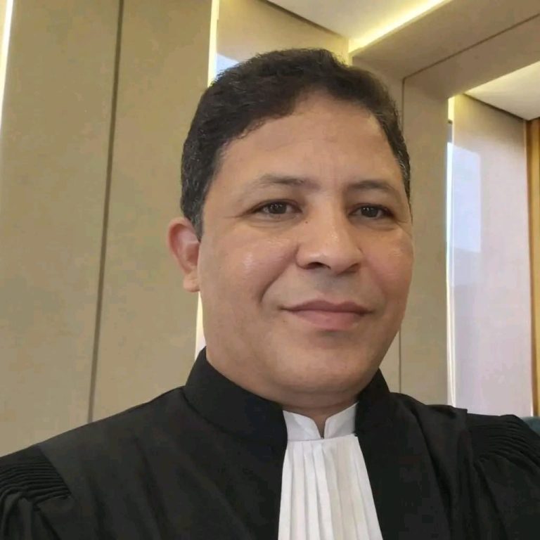 قانون مهنة المحاماة بعد قرار المحكمة الدستورية: الإحالة كانت اختيارية… فهل أصبح استكمال الرقابة واجباً؟