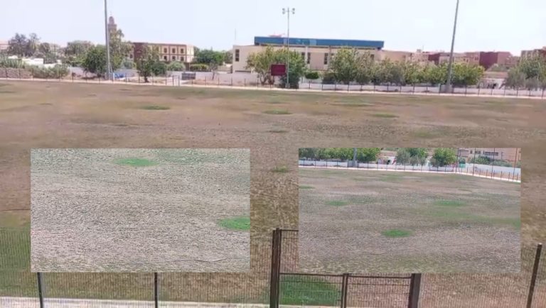 جامعة الركبي تستنكر الوضعية الكارثية لملعب وجدة وتطالب بتدخل وزاري وربط المسؤولية بالمحاسبة