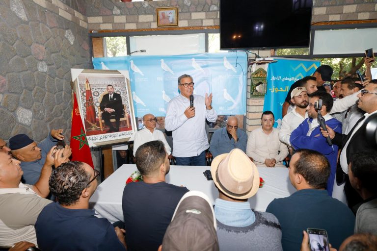 عزيز أخنوش