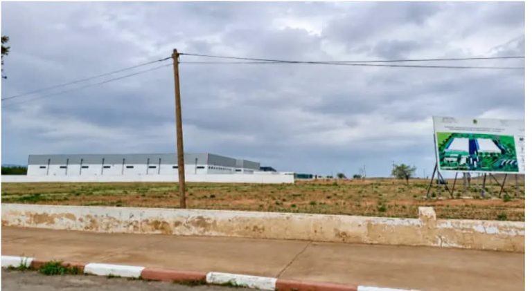 وجدة أنجاد.. إنجاز منصة لوجستية كبرى بالنعيمة لتعزيز الجاهزية ضد الكوارث بجهة الشرق