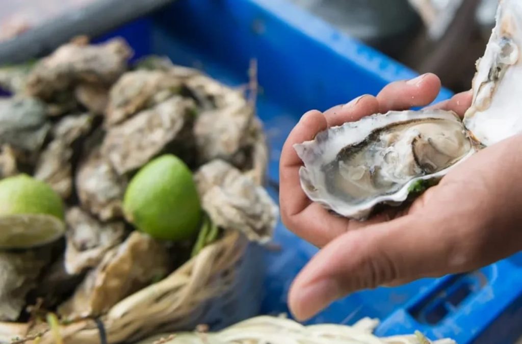 آسفي.. سموم بحرية وراء منع جمع وتسويق المحار بكاب بدوزة