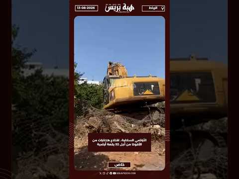 الأراضي السلالية.. اقتلاع هكتارات من الأفوكا من أجل 52 بقعة أرضية