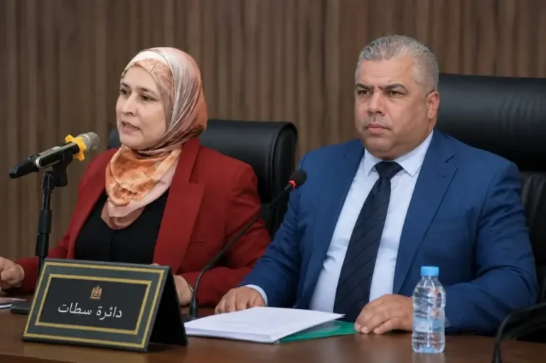 بعد بلاغ الأحرار.. عثمان ومنال بادل يدافعان عن اختيارهما الانضمام إلى البام