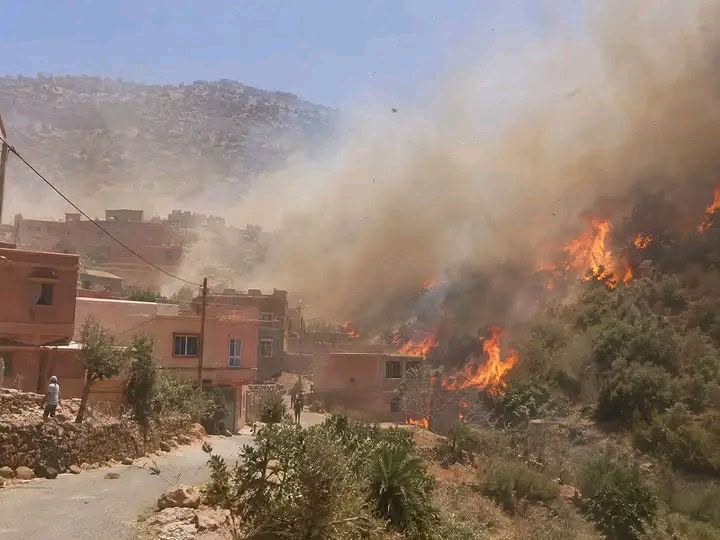 أكادير.. اندلاع حريق مهول بواحة إنرارن بجماعة أقصري
