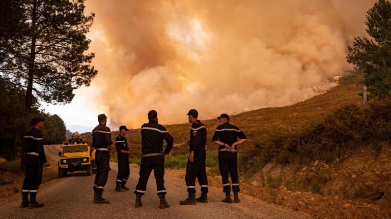 جهة طنجة تطوان الحسيمة ترفع التأهب تحسبا لحرائق الغابات