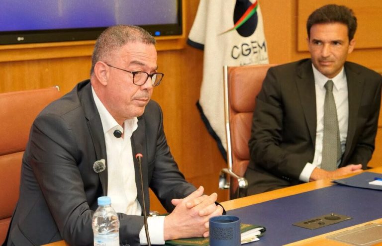لقجع يكشف في حضرة «الباطرونا» أوراق «البام» الاقتصادية حتى 2030