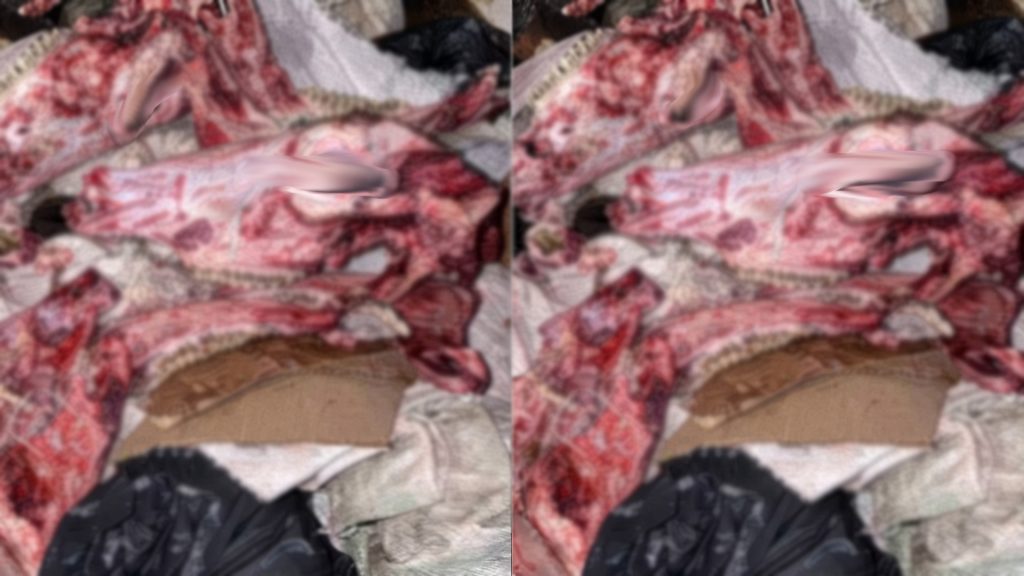 بقايا عظام قرب ملاعب القرب بالناظور تثير موجة قلق ومطالب بالتحقيق
