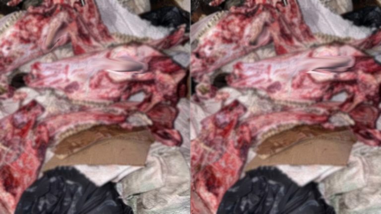 بقايا عظام قرب ملاعب القرب بالناظور تثير موجة قلق ومطالب بالتحقيق