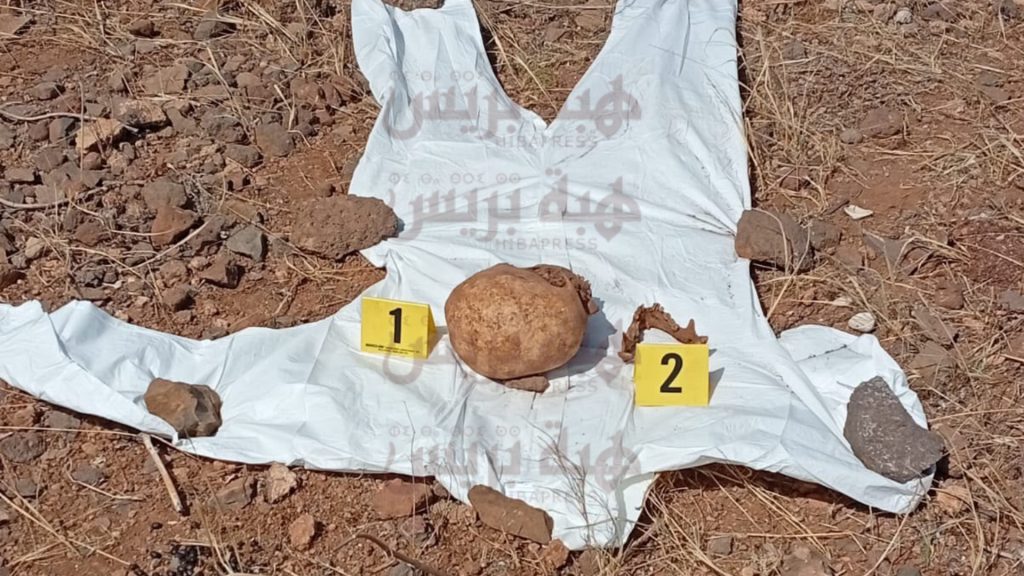العثور على هيكل عظمي بشري كامل يستنفر أمن الناظور (صور)