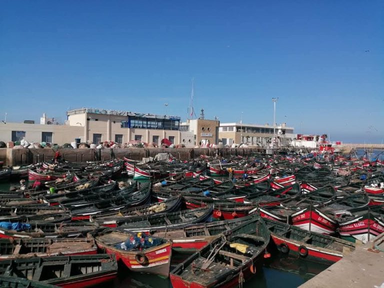 ميناء الجديدة يحقق حصيلة مهمة من مفرغات الأسماك والمنتجات البحرية