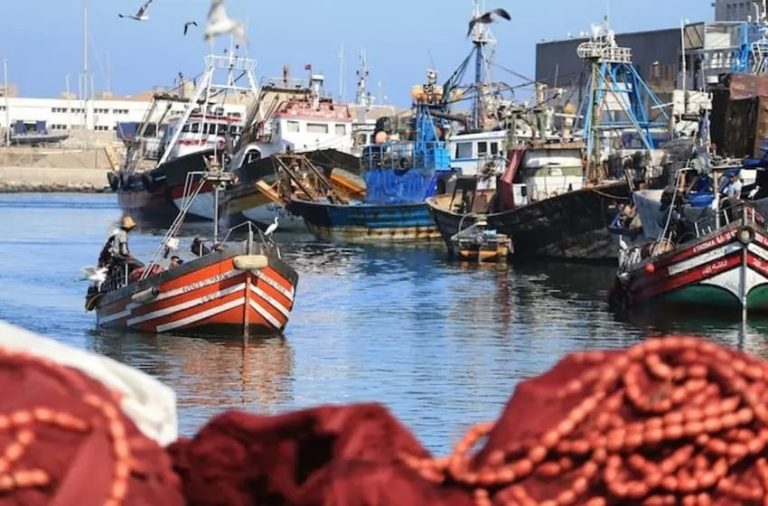 بوجدور.. منع قوارب الصيد التقليدي من الإبحار بسبب سوء الأحوال الجوية