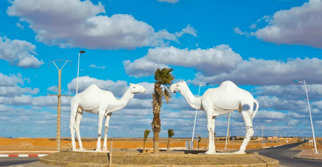 موسم طانطان.. عرس الرحل وحارس التراث الشفهي بالصحراء المغربية