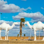 موسم طانطان.. عرس الرحل وحارس التراث الشفهي بالصحراء المغربية
