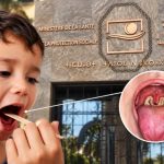 أطباء وخبراء يحذرون من عودة الدفتيريا ويدعون إلى تعزيز التلقيح والتواصل الصحي