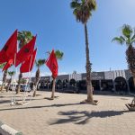 الخميسات.. رمي الأسماك الفاسدة يثير الاستياء في محيط السوق البلدي