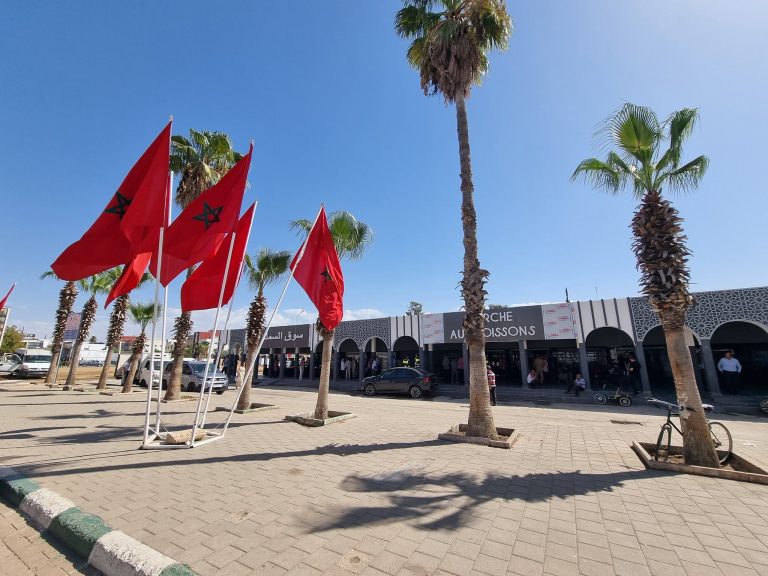 الخميسات.. رمي الأسماك الفاسدة يثير الاستياء في محيط السوق البلدي