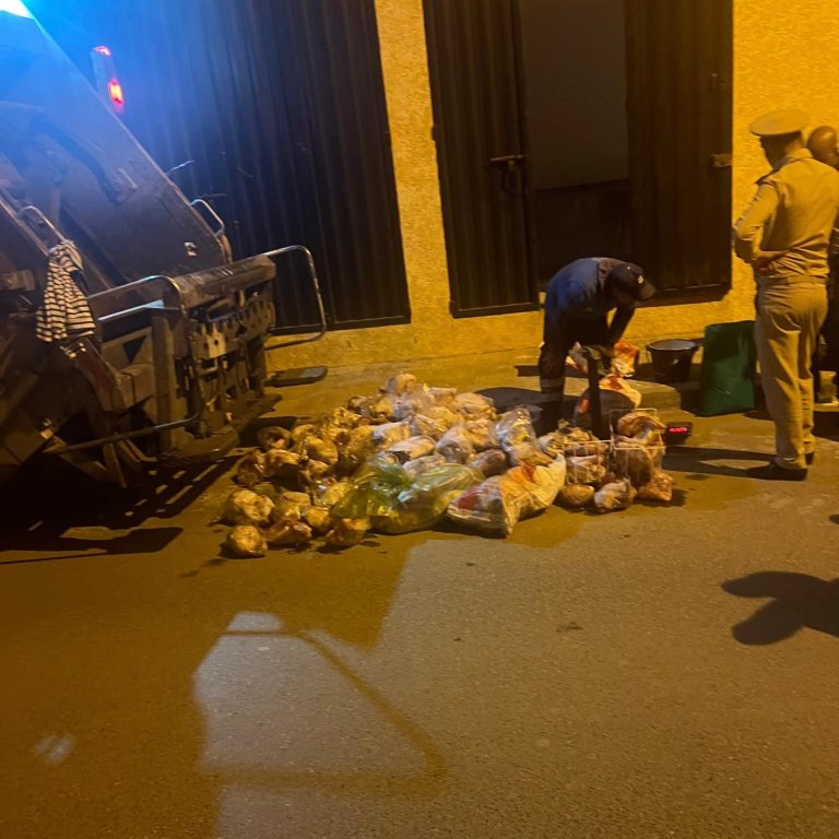عملية مراقبة بتمارة تنتهي بحجز كمية كبيرة من الدجاج الفاسد