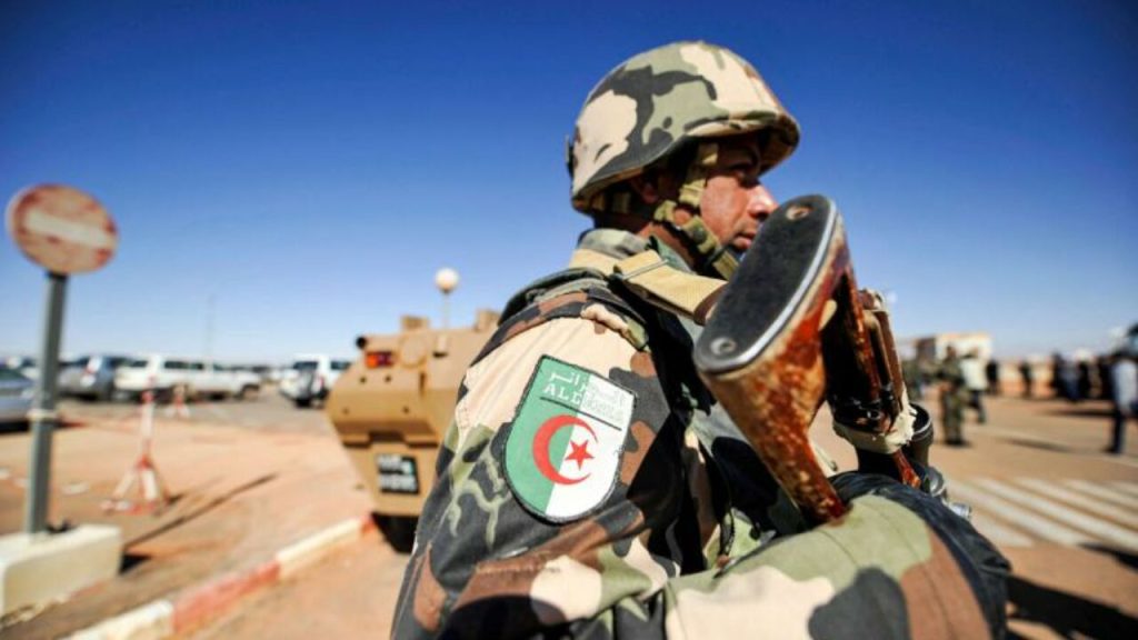 البرلمان الجزائري يوافق على إرسال وحدات من الجيش إلى النيجر