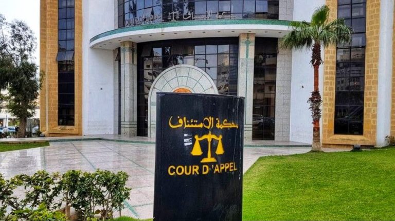 الحبس والغرامة لمتهم في قضية اعتداء على مغربية بهولندا