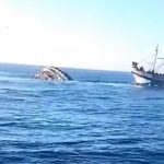 المهدية.. غرق مركب للصيد البحري وإنقاذ جميع أفراد طاقمه