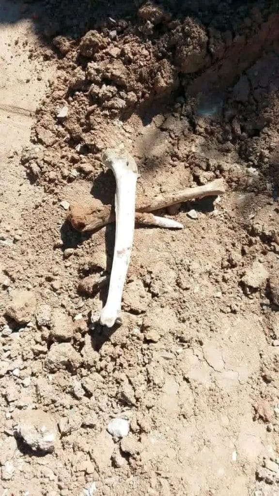 الحسيمة.. شكوك حول ظهور بقايا بشرية قرب مقبرة قديمة