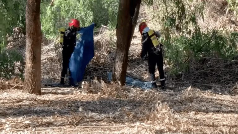 الناظور.. استنفار أمني بأزغنغان بعد العثور على جثة متفحمة داخل غابة