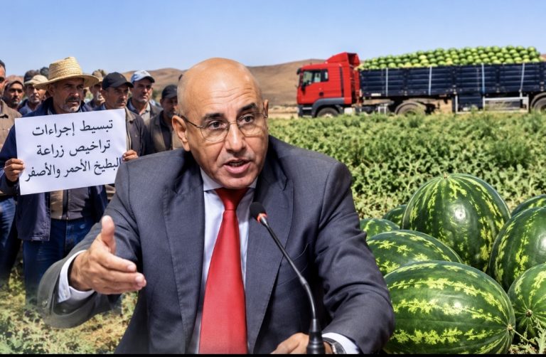 طاطا.. فلاحو البطيخ الأحمر يحتجون ضد تعقيدات التراخيص