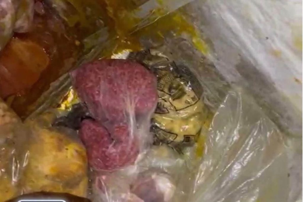 مراكش.. حجز مواد غذائية فاسدة داخل مطعم مشهور بساحة جامع الفنا - صور