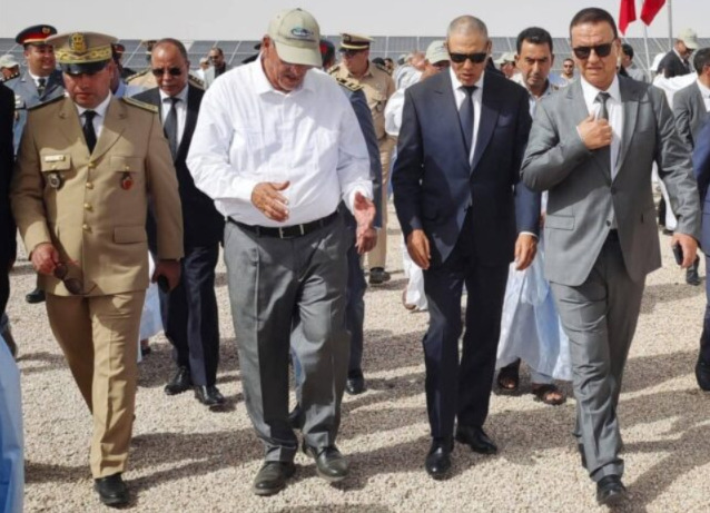 بوجدور.. مشروع لغرس 200 ألف شتلة زيتون يعزز آفاق الاستثمار الفلاحي بالأقاليم الجنوبية