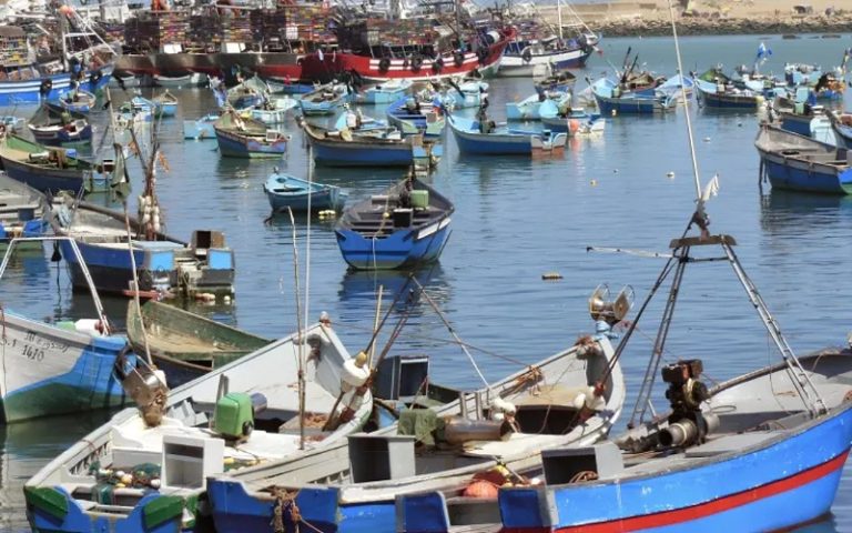 خليج الحسيمة.. دراسة علمية ترصد مستويات مرتفعة من الزرنيخ في القمرون والباجو