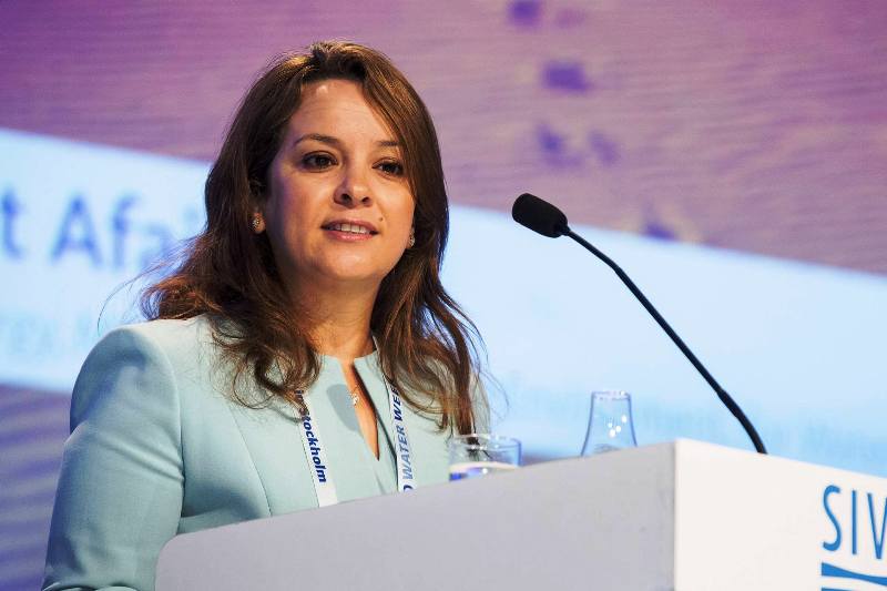 من تكون شرفات أفيلال التي تولت حقيبة وزارة الطاقة والمعادن والتنمية المستدامة؟