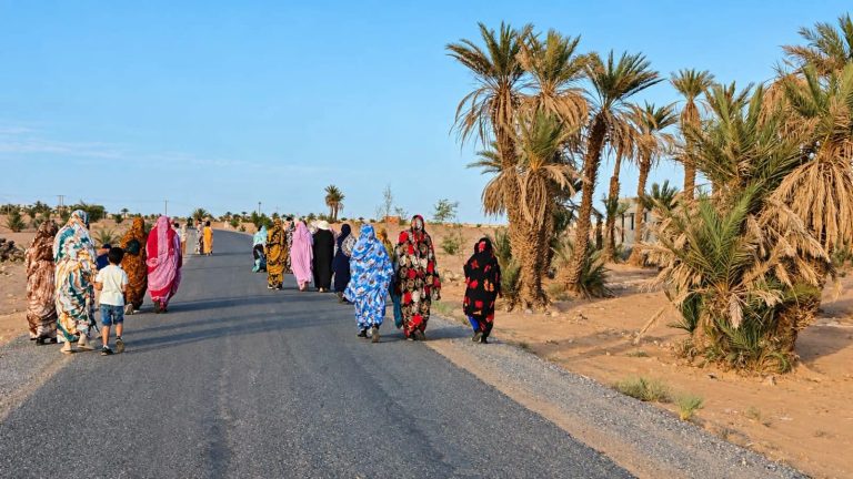طاطا.. وفاة سيدة بلدغة أفعى تفجر احتجاجا على الوضع الصحي بالإقليم
