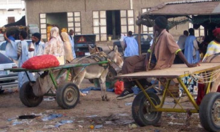 سوس ماسة: من إداوتنان إلى طاطا.. الجبال تطالب بحقها في التنمية