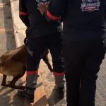 أكادير.. فيديوهات صادمة تقود حارسي أمن خاص إلى العدالة