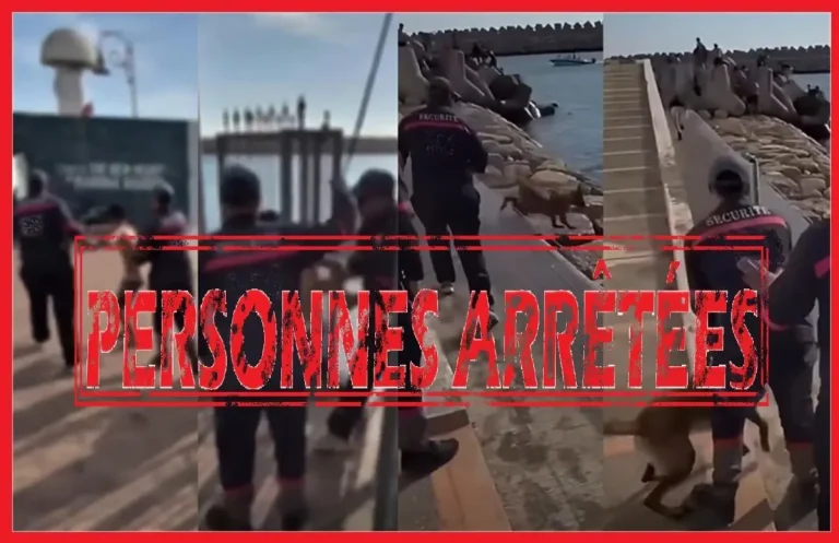 تعنيف قاصر وتحريض كلب على أطفال يجر شخصين إلى القضاء بأكادير