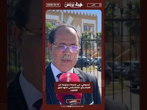 الصوفي: مي نعيمة ممنوعة من القيام بأي نشاط رقمي لكنها تخرق القانون