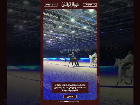 فارسات يخطفن الأضواء بحركات متناسقة وعروض مثيرة بمعرض الفرس بالجديدة