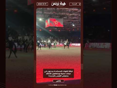خيالة القوات المساعدة يبدعون في حركات مميزة ويخطفون الأنظار بمعرض الفرس بالجديدة