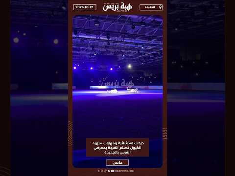 حركات استثنائية ومهارات مبهرة الخيول تصنع الفرجة بمعرض الفرس بالجديدة