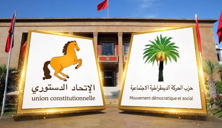 الحركة الديمقراطية والاتحاد الدستوري يستبعدان المساندة النقدية